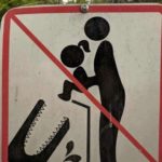Don't feed the crocs