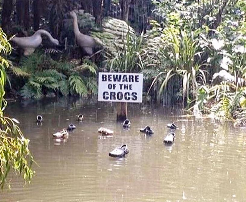 the crocs