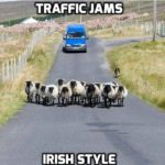 Meanwhile in Ireland!
