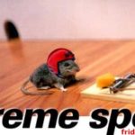 Mouse extreme sports