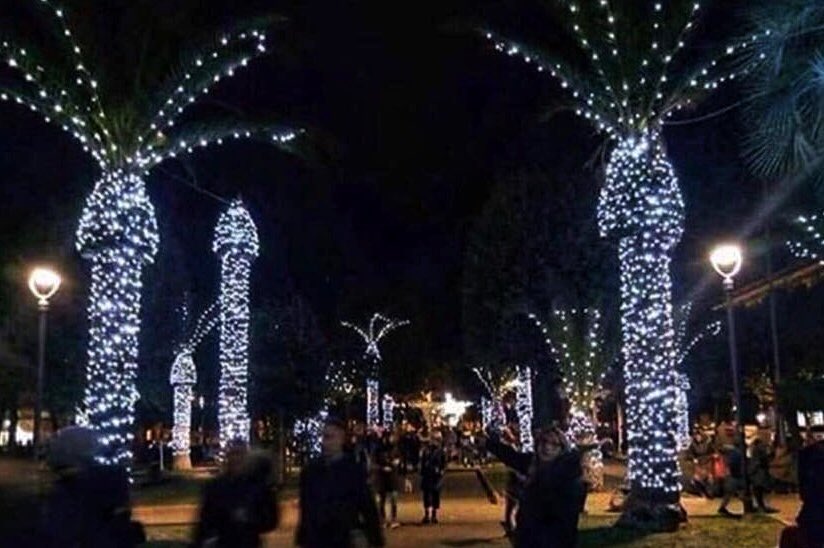The Christmas palm trees didn't quite turn out right 😱