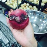 Loving Tesco's new Angry Birds themed onions! 🙂