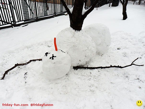 Poor snowman got 'treed' ⛄️😀