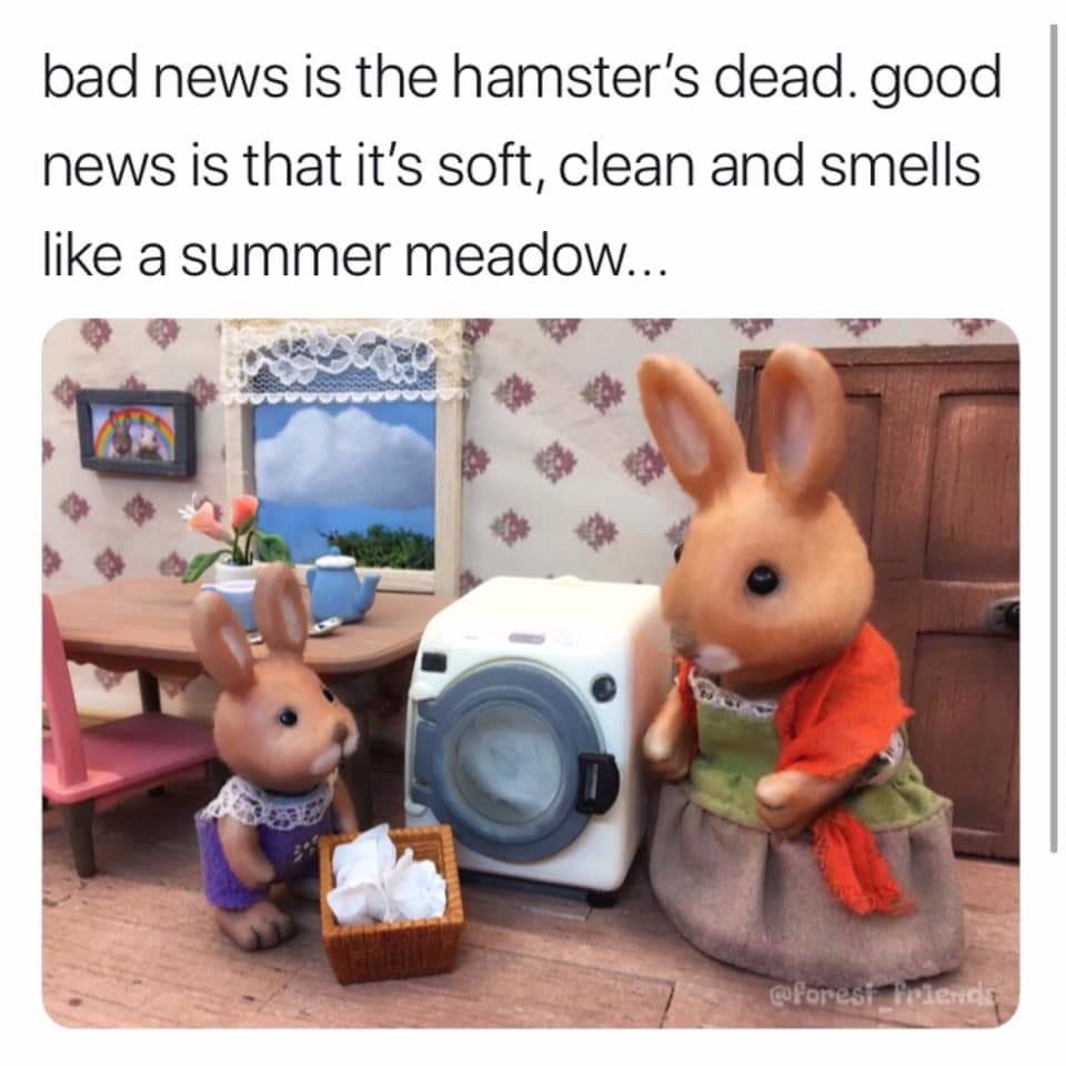 Poor hamster! 😀