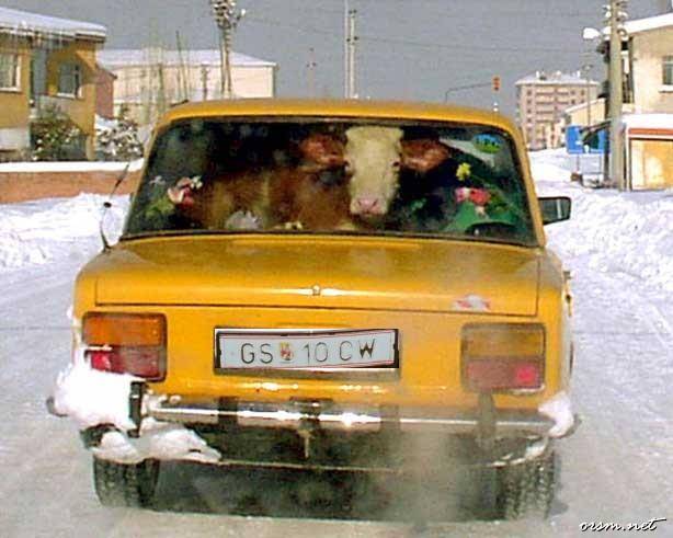 Meanwhile in Russia! 😀 - Friday Fun