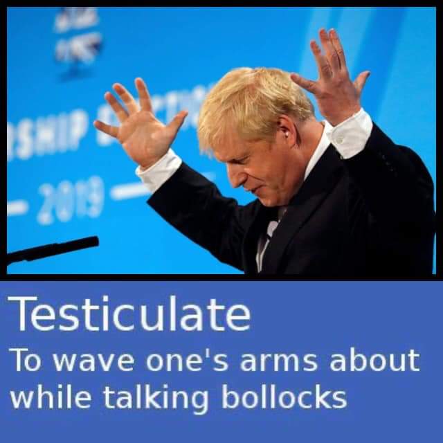 Testiculate. My favourite new word 😃