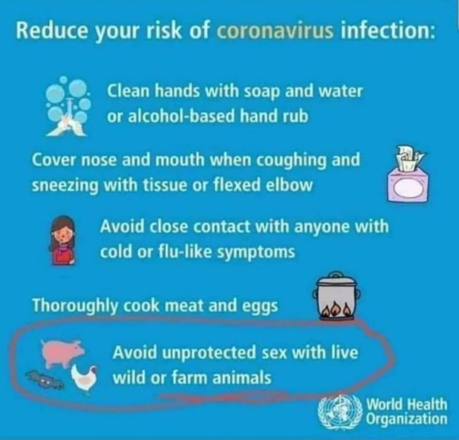 Sensible virus advice from the WHO 😀