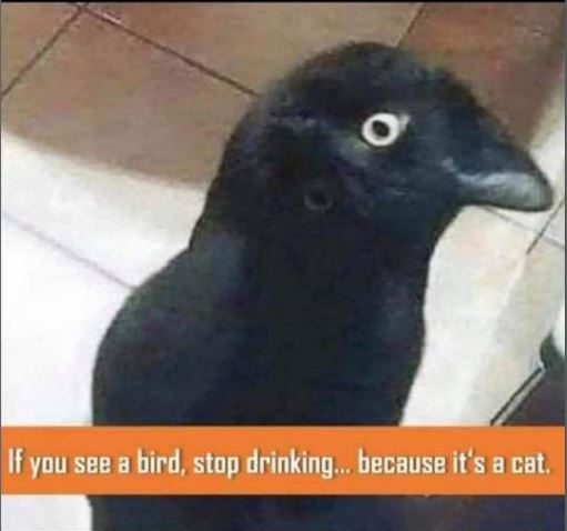 Alcohol test: Do you see a bird or the cat?
