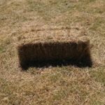 Alcohol test: Do you see a hole or a haybale? 😀