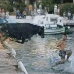 Red Bull might give you wings! Black Bull makes you walk on water! 😀