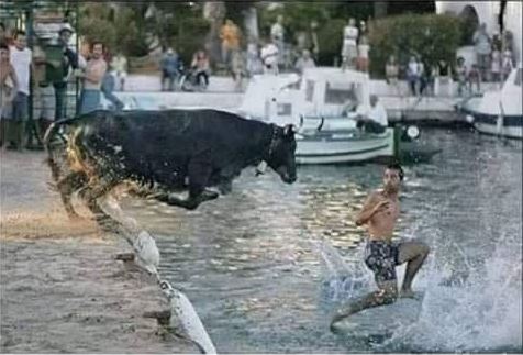 Red Bull might give you wings! Black Bull makes you walk on water! 😀