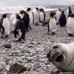 Is this the best photobomb ever? 😀