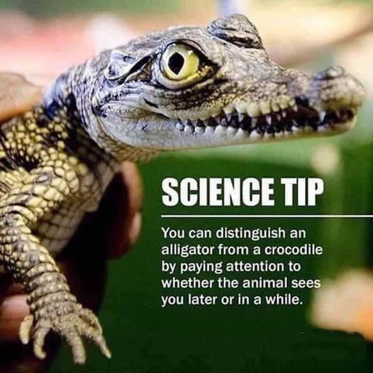 Another useful science tip! 😀