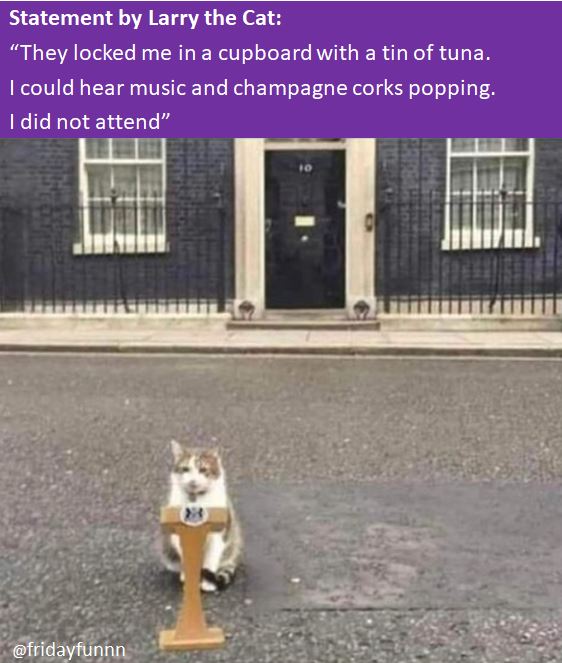 Latest from Downing Street! 😀