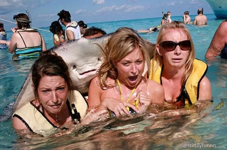 Ever been photo bombed by a sting ray? 😀