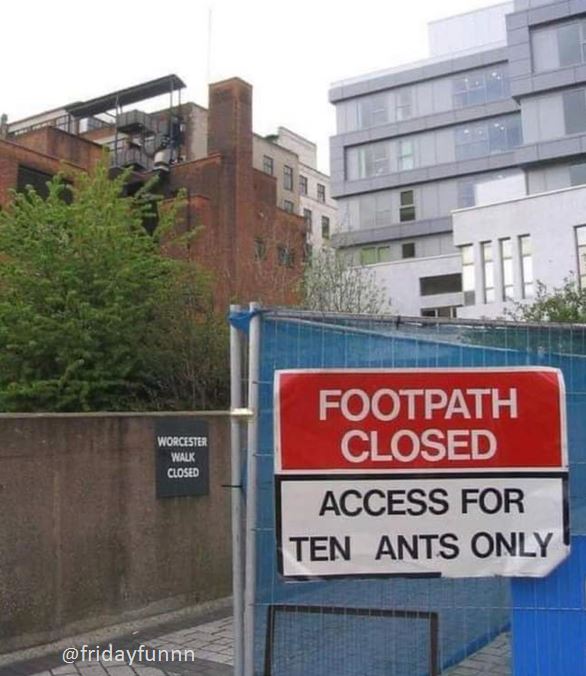 Are ants heavy then? 😀